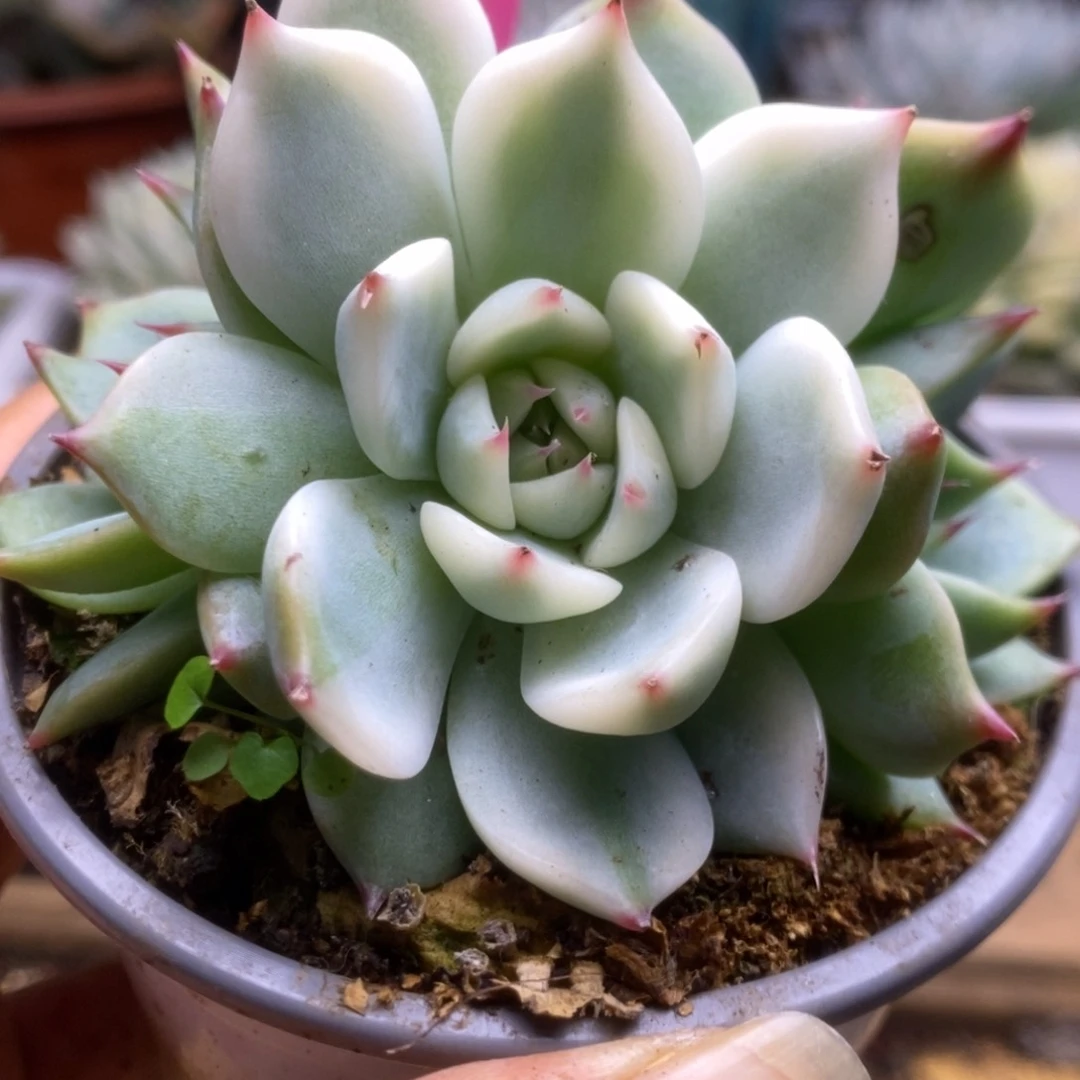 765锦锦锦锦锦锦锦