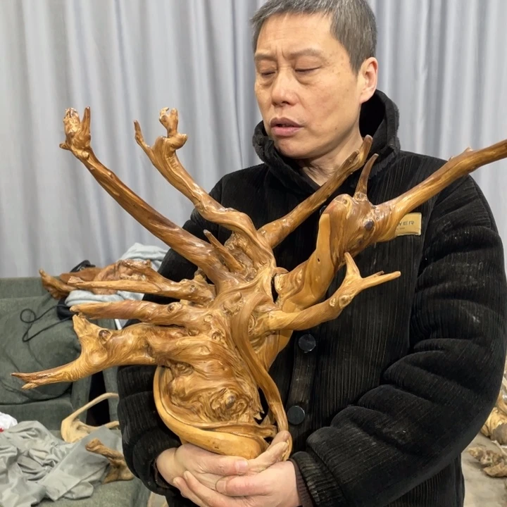 渐**远我们都是好孩子呀