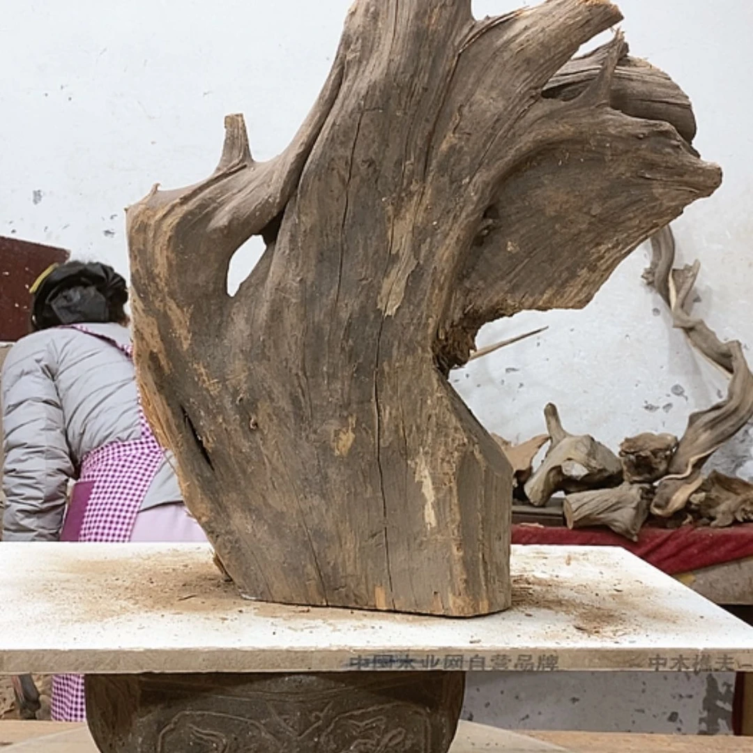 【闪购商品】柏木7*7我们都是好孩子