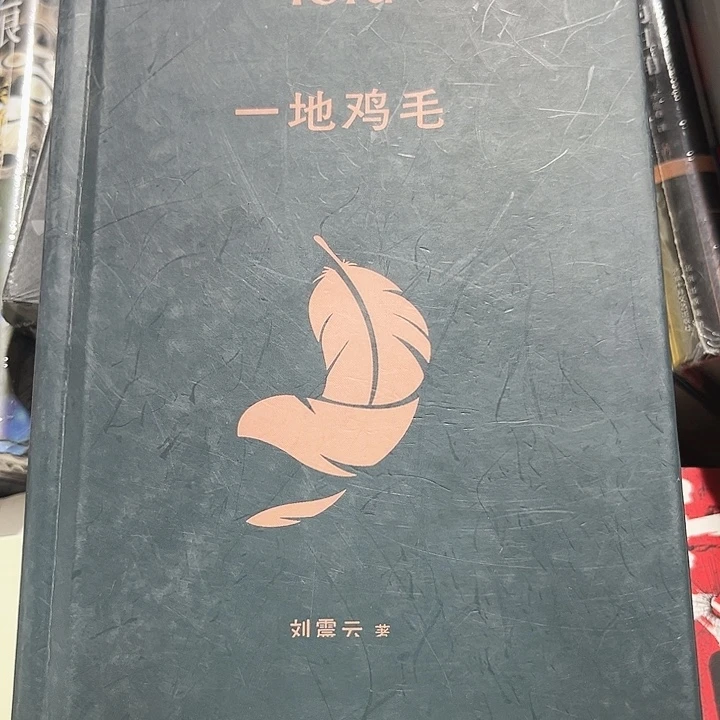 一地鸡毛新书推荐