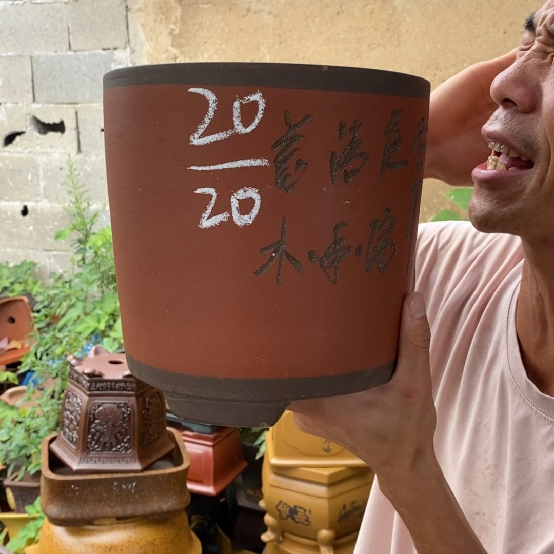 紫砂紫砂紫砂紫砂