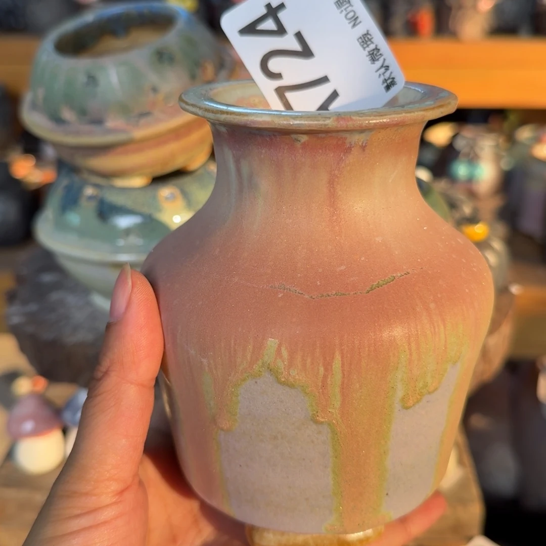 重庆小燕子欢迎大家724