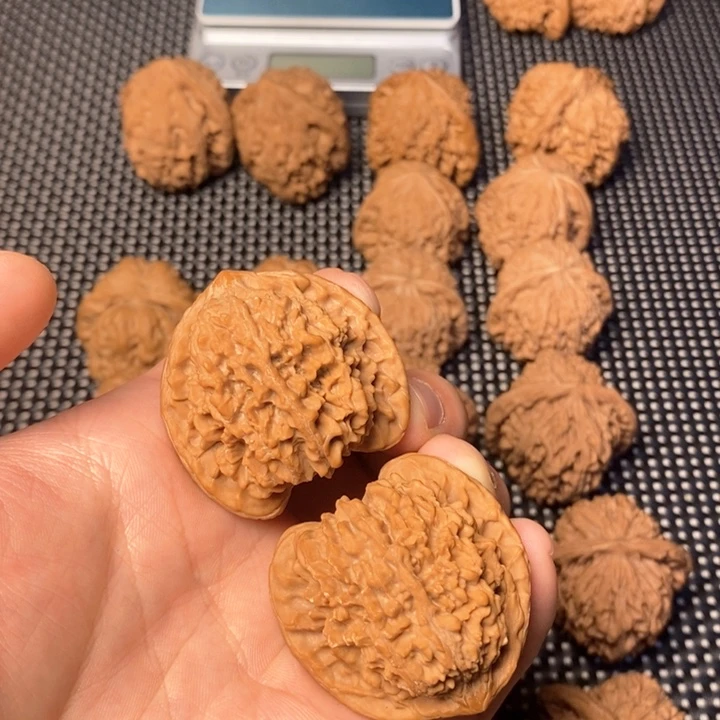 文玩核桃把件天****）满天星！