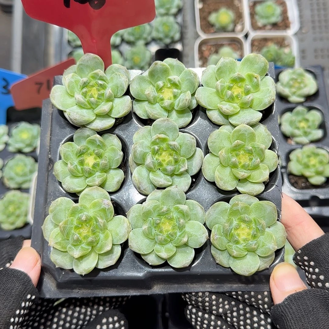 106哈哈哈哈哈哈哈哈哈