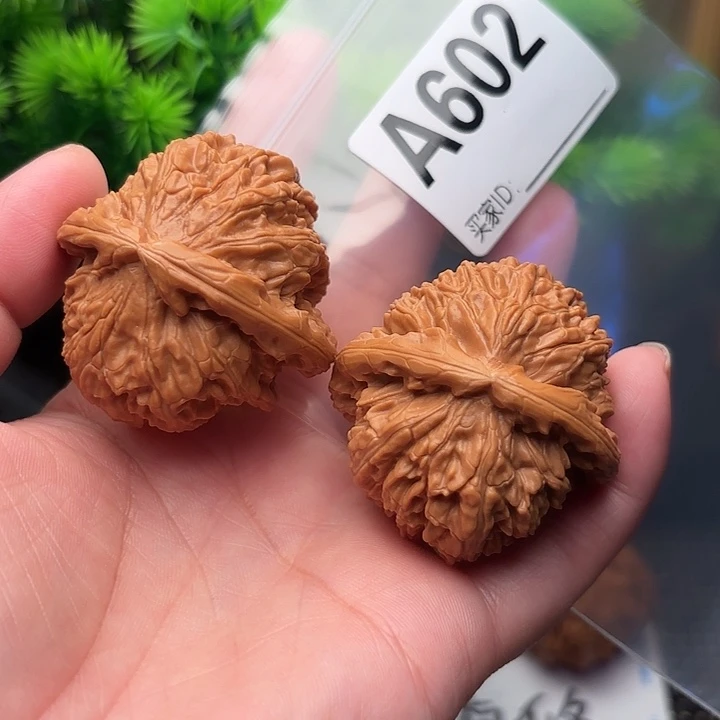 桃核把件核桃白日子42