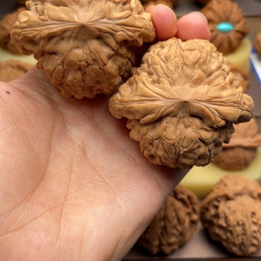 文玩核桃吊坠52龙鼎全品