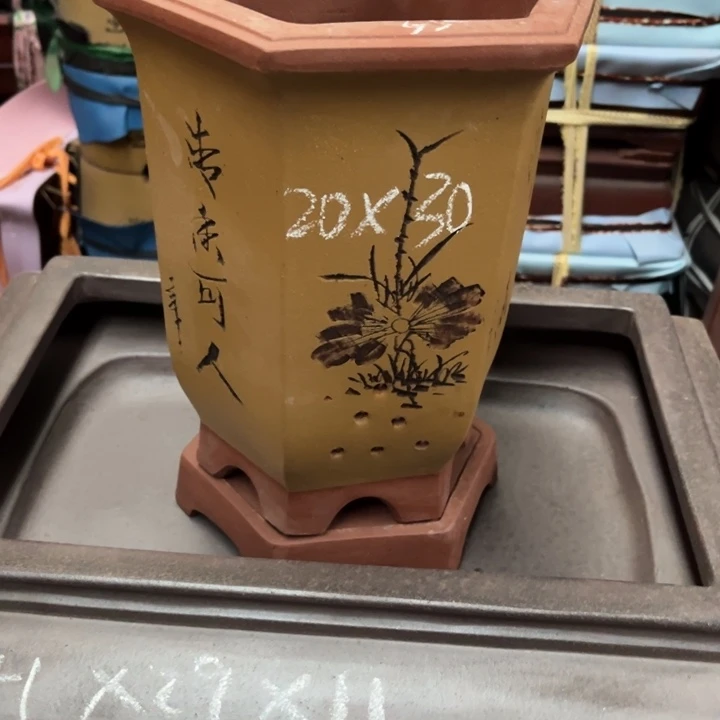 紫砂花盆紫砂花盆