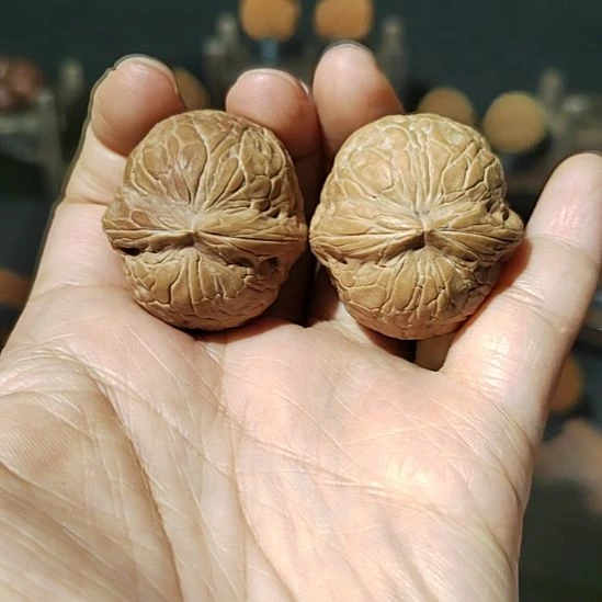 文玩核桃把件福利蛇皮球带彩35尺