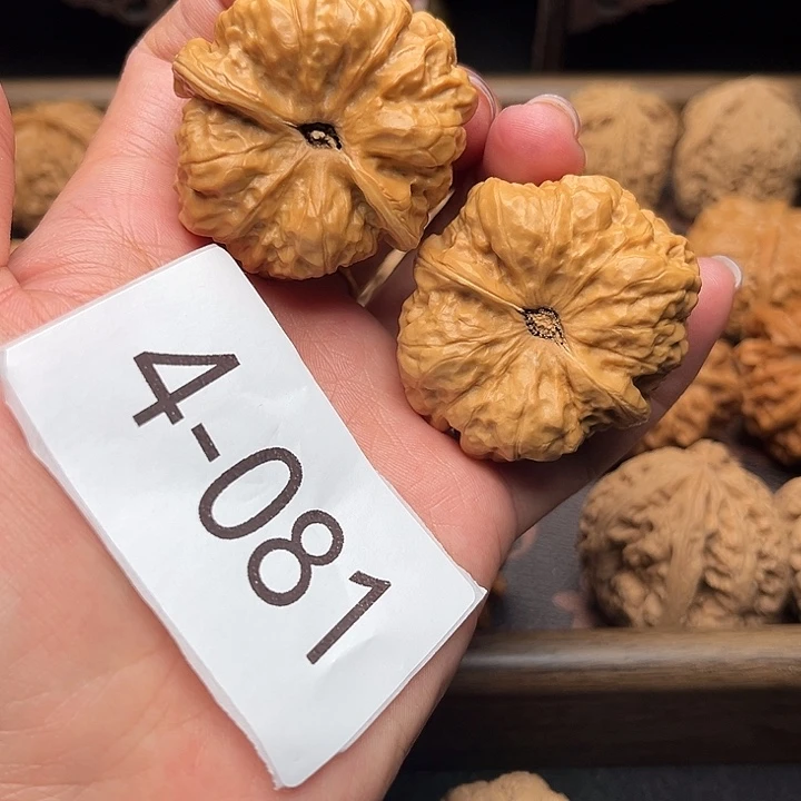 不***季核桃41蛤蟆头4081