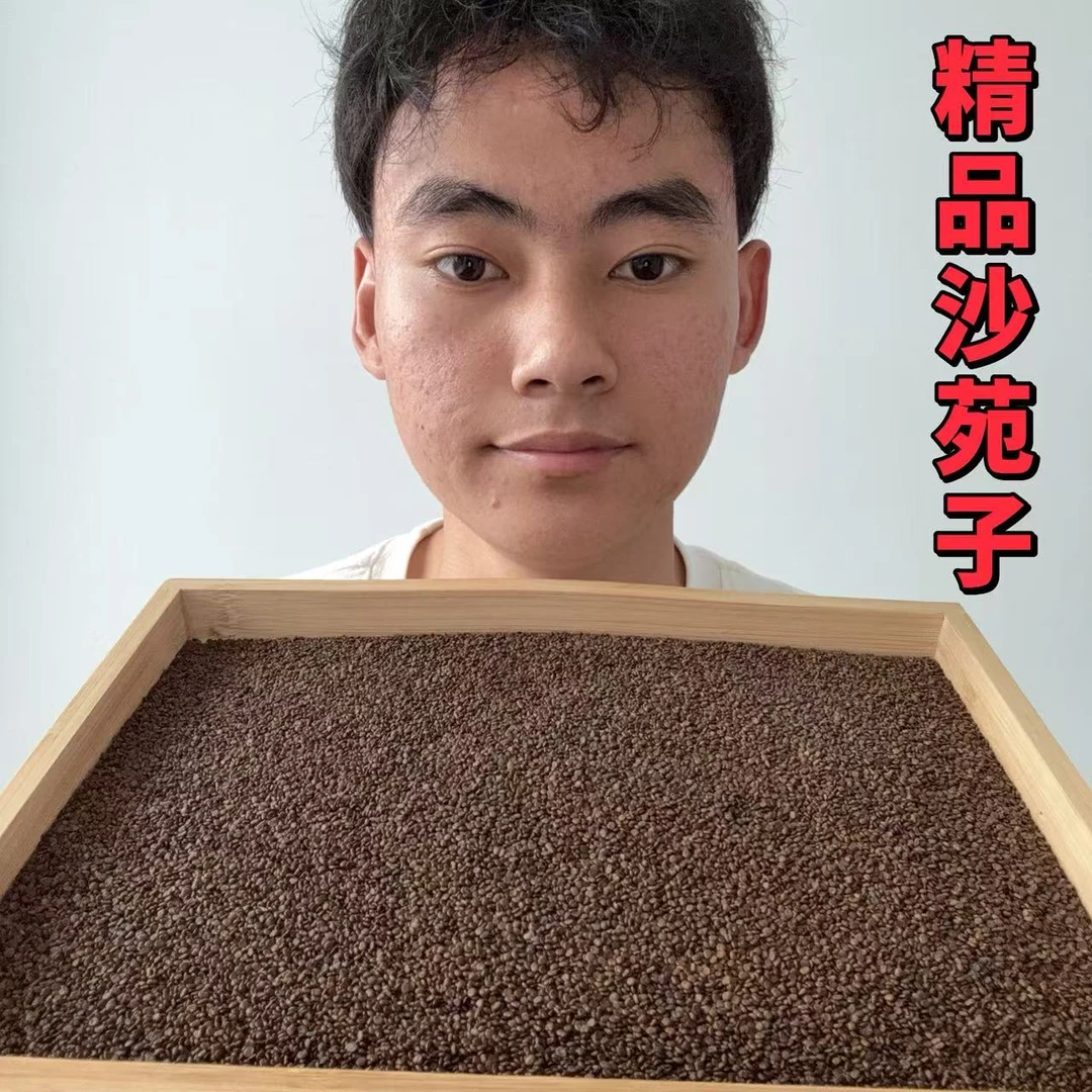 沙苑子 精选陕西沙苑子茶 高含量陈货沙苑子 沙苑子枸杞