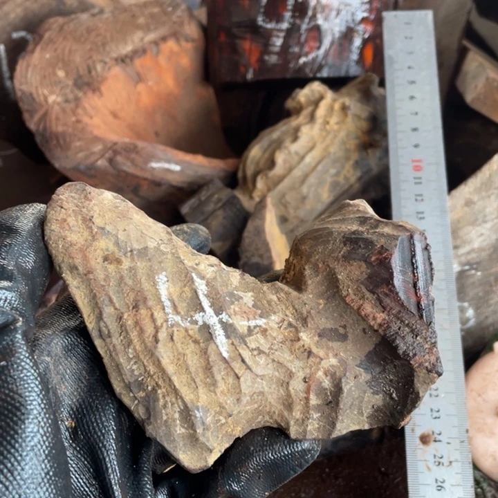 交趾黄檀（大红酸枝）海***1