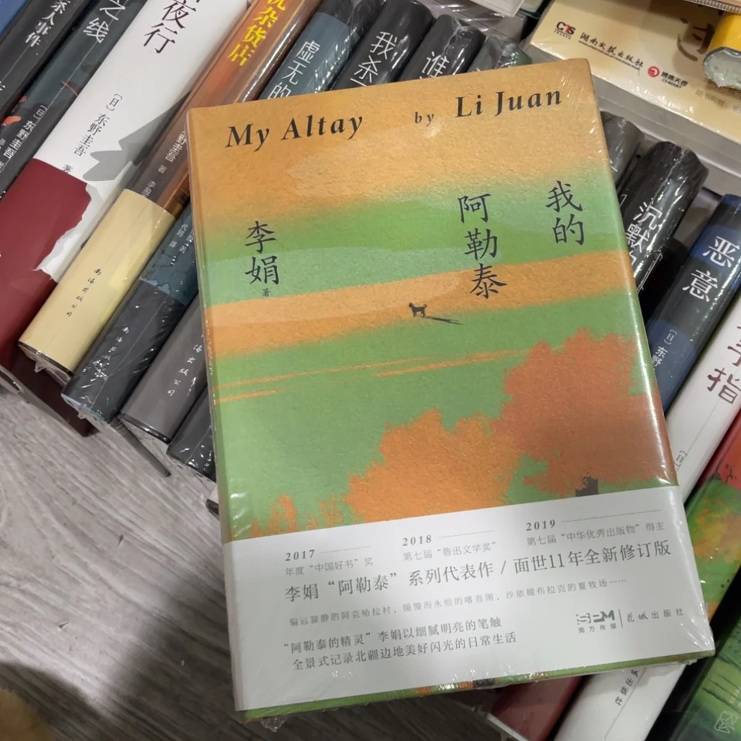 我的阿勒泰精装哥哥