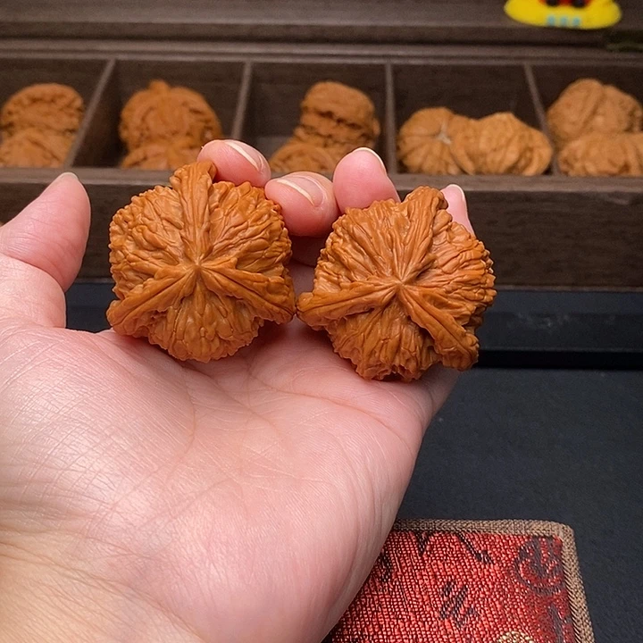 孙***哥把件文玩核桃白奔