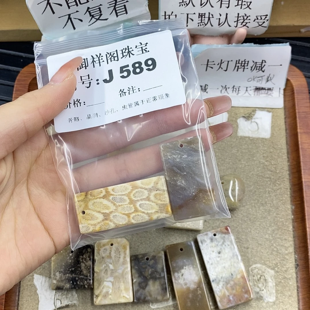 硅化珊瑚（珊瑚玉）未镶嵌颈饰陈*士