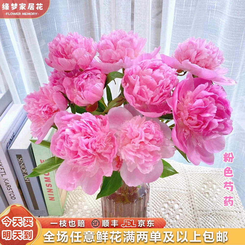 特价『粉嘟嘟的粉芍药5枝』全场两单鲜花顺丰京东包邮芍药次日达