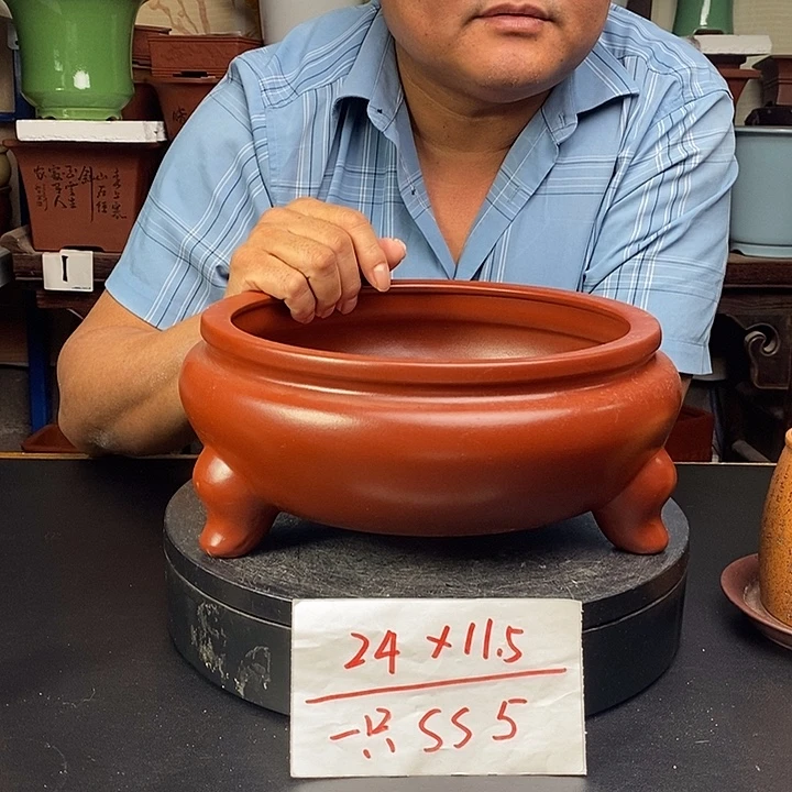 花盆紫砂货号一只SS5