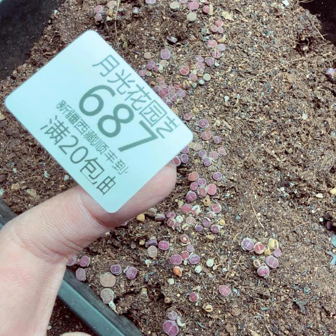 A***A我想说什么我没办法吗687