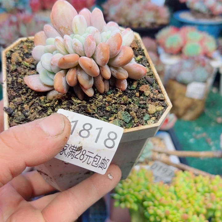 幸运的是我还没遇到