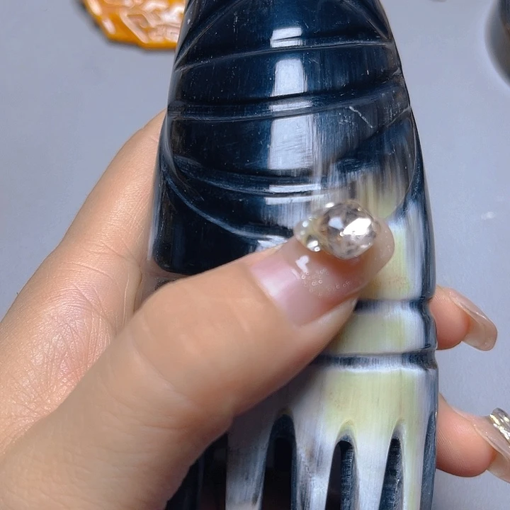 大果紫檀（缅甸花梨）