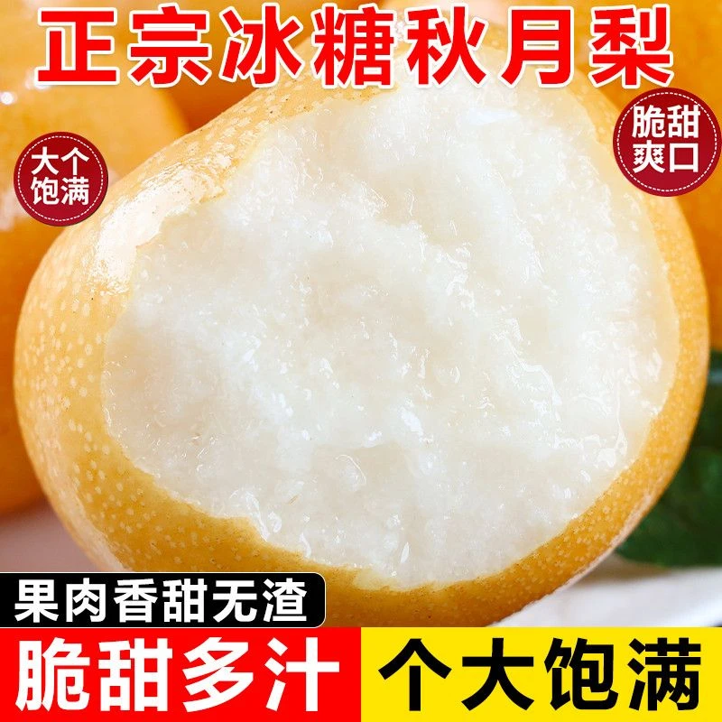 山东莱阳秋月梨脆甜新鲜爽口化渣皮薄肉厚
