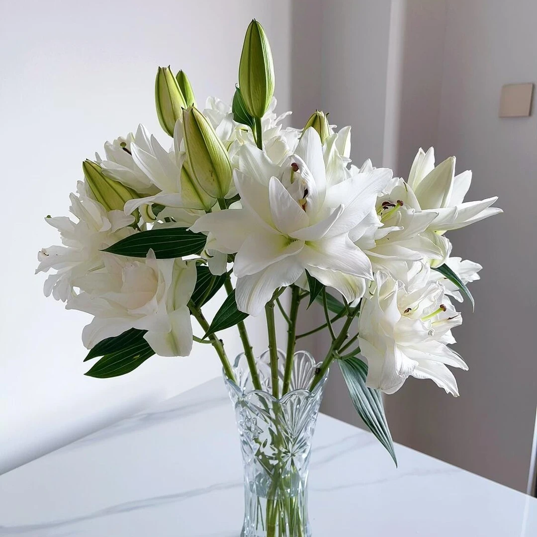 【霞多丽】香水百合鲜花基地直发室内水养插花家用办公