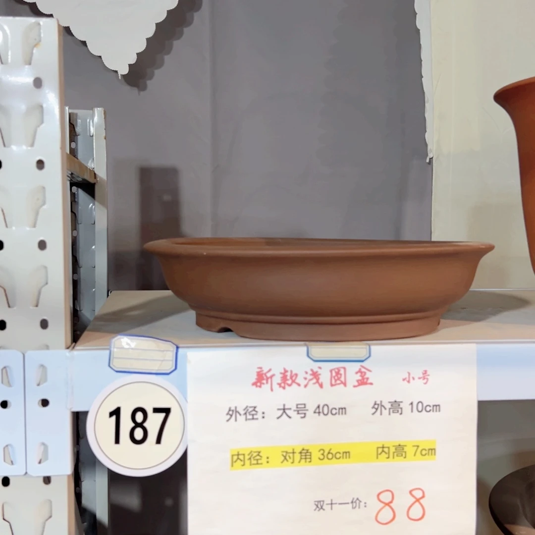 40口径新款浅圆盆一个