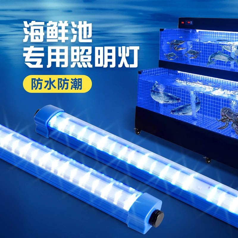 海鲜池专用灯全光谱灯管鱼池led灯防水超亮蓝白光鱼池专用照明灯