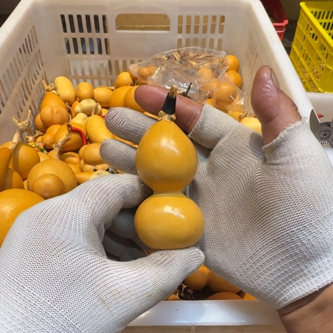 木****)哈哈哈哈哈哈哈哈哈哈哈哈哈哈哈