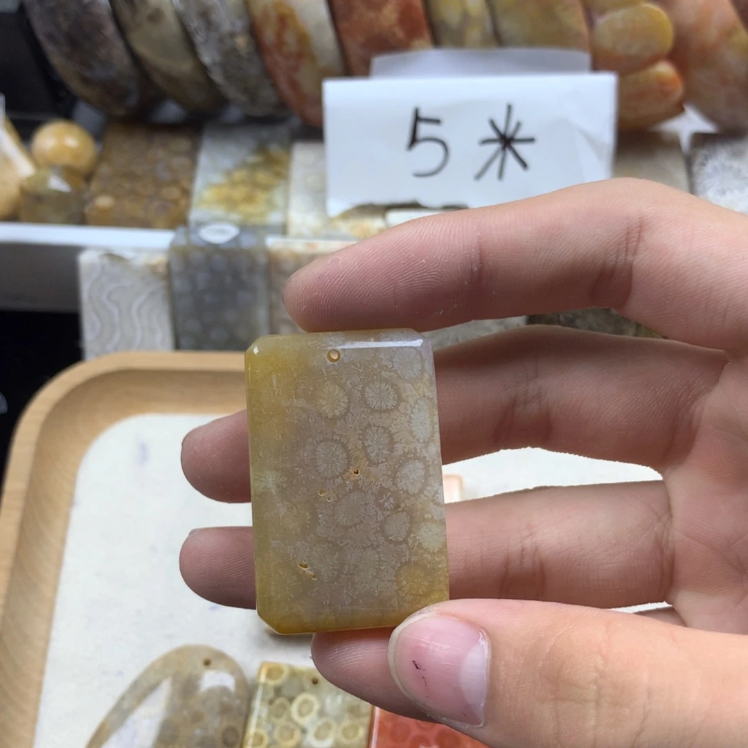 我***了硅化珊瑚（珊瑚玉）未镶嵌颈饰