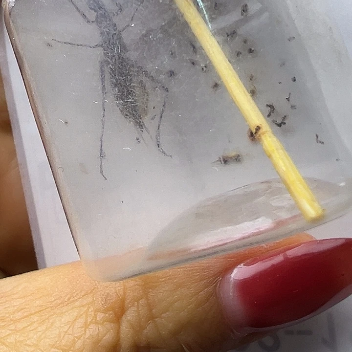 一***风哈哈哈哈哈哈哈哈哈哈哈哈哈