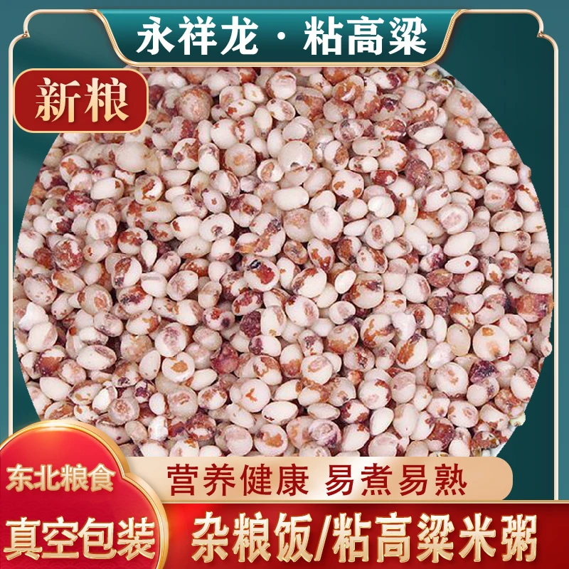25年永祥龙红高粱米粘高粱黏米新米东北粘糯高粱米煮粥颗粒饱满