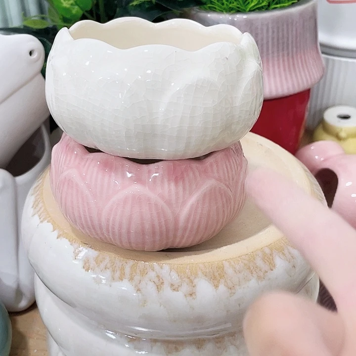 花盆花盆花盆花盆花盆花盆花盆