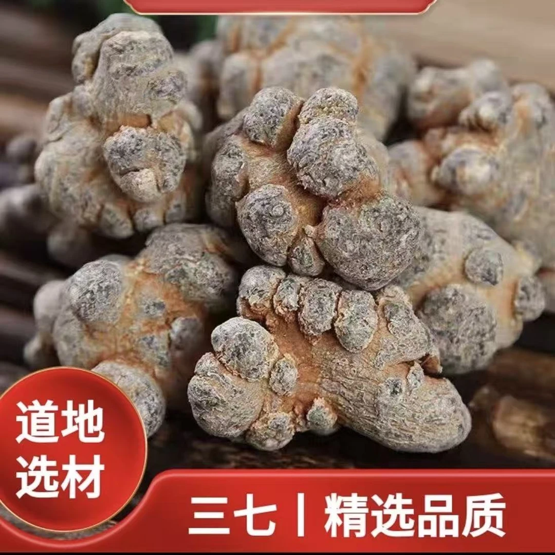 正宗文山三七头可煲汤可做田七