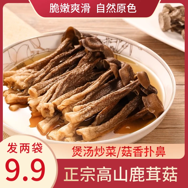【甄选鹿茸菇】农家鹿茸菇鲜香爽脆爆炒炖汤营养美味食用干货特产Y