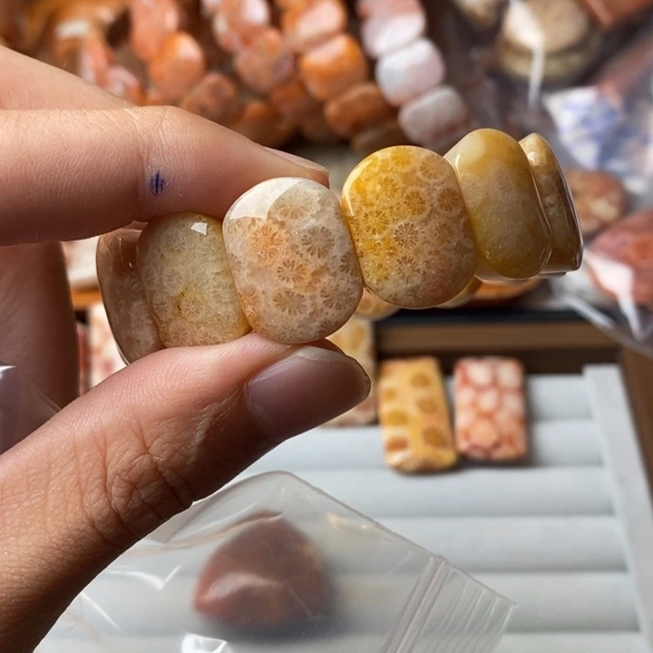 江***河未镶嵌珊瑚玉硅化玉