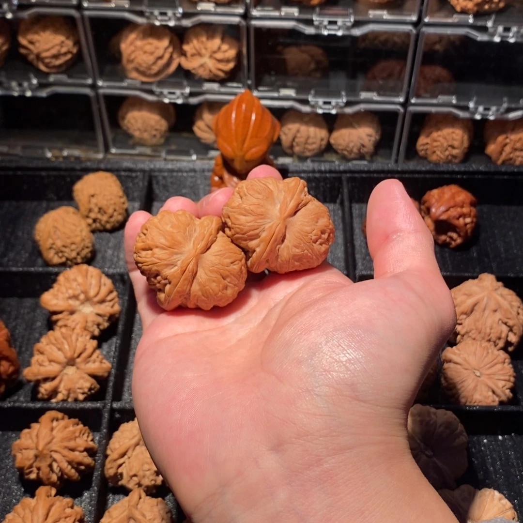 杨***啾大叶紫檀（黑酸枝木类）