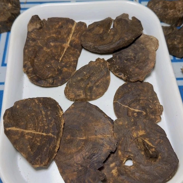 木母树绿奇陆河包头88克