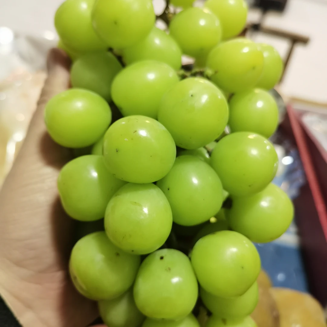 大连瓦房店晴王葡萄净重3斤4斤（掉粒正常）