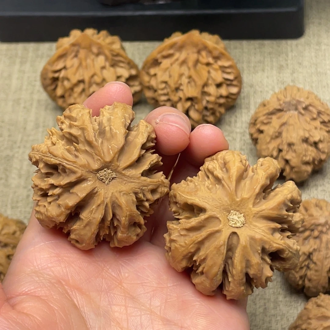 恭***财文玩核桃把件秦岭核桃55号