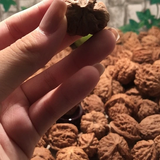 有***年桃核吊坠核桃核桃核桃