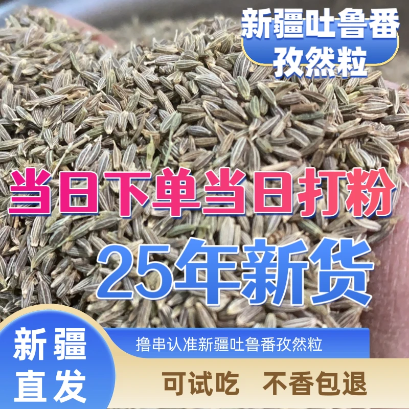 25年新货吐鲁番孜然烧烤撒料孜然粒孜然粉炸串烤肉调味料烧烤料