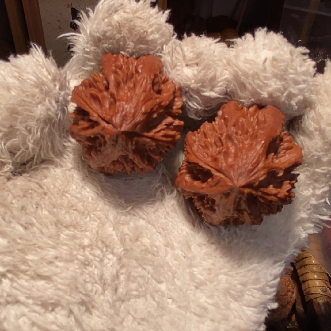 文玩核桃吊坠柏**哥凤冠龙脊