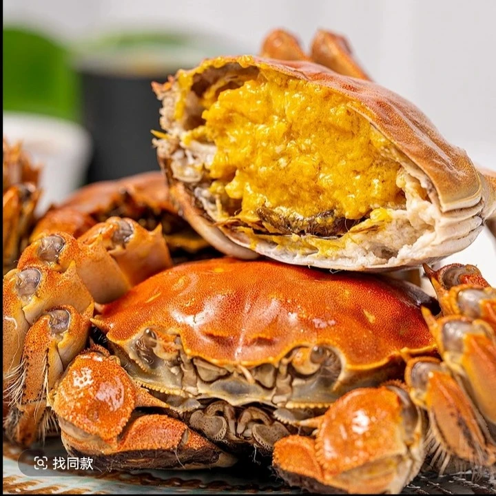 【保活】精品大闸蟹母蟹单只1两半左右10只装小时达