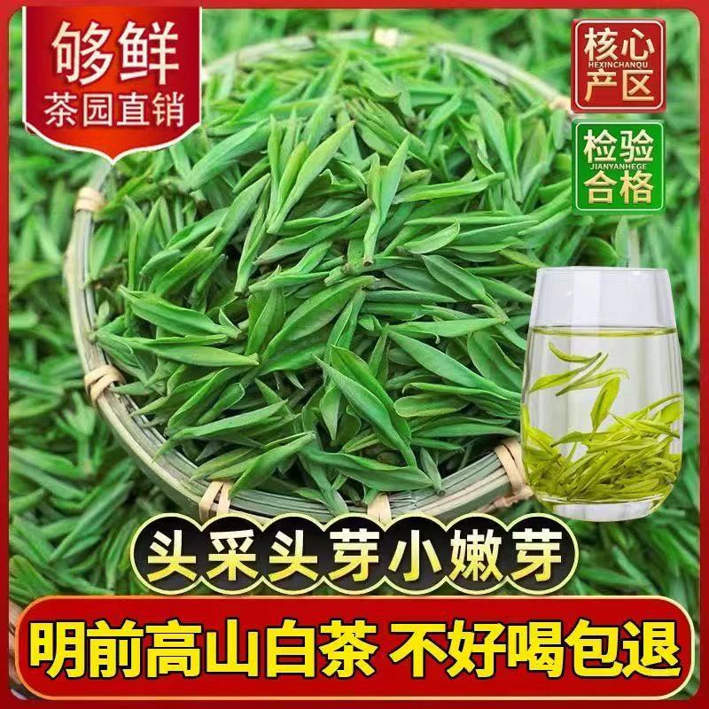 2025明前采摘新茶正宗白茶高山绿茶口感清香茶叶