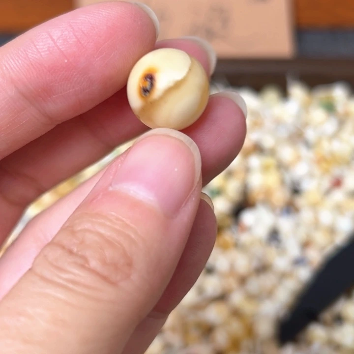 蜜蜡未镶嵌裸石13.8mm一个