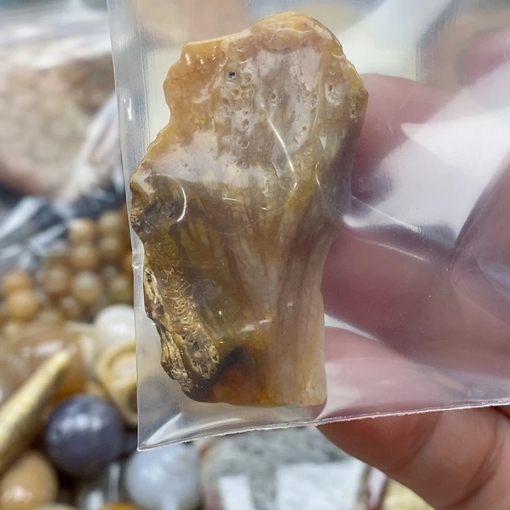 硅化珊瑚（珊瑚玉）未镶嵌颈饰阁*
