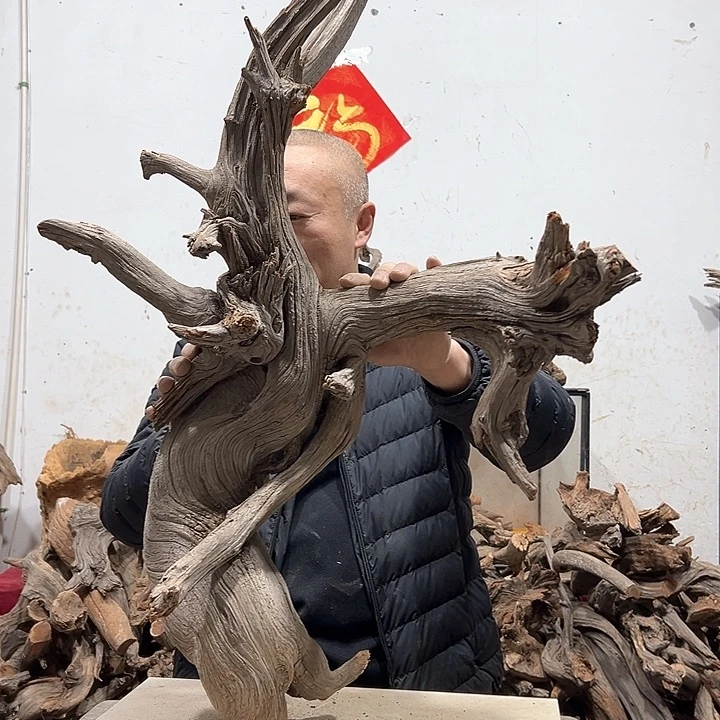 柏木慧****商我们的生活也是如此的