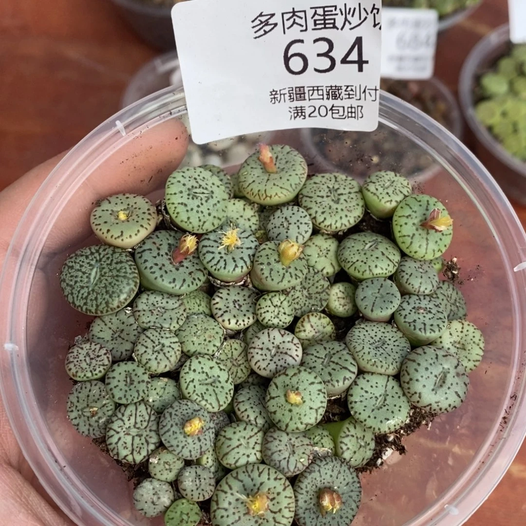 感谢您的支持，安贞，634