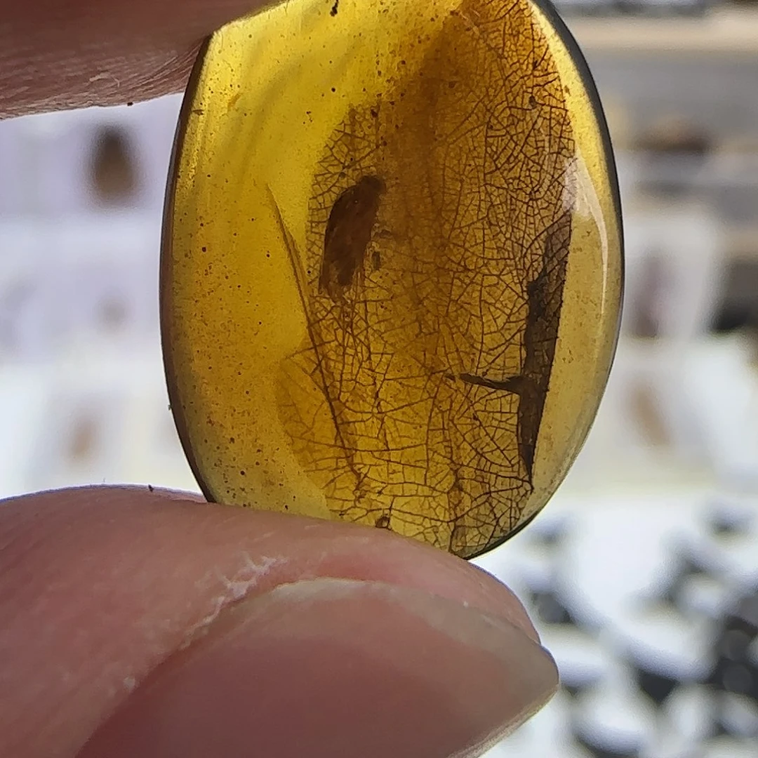 有机玻璃琥破虫破