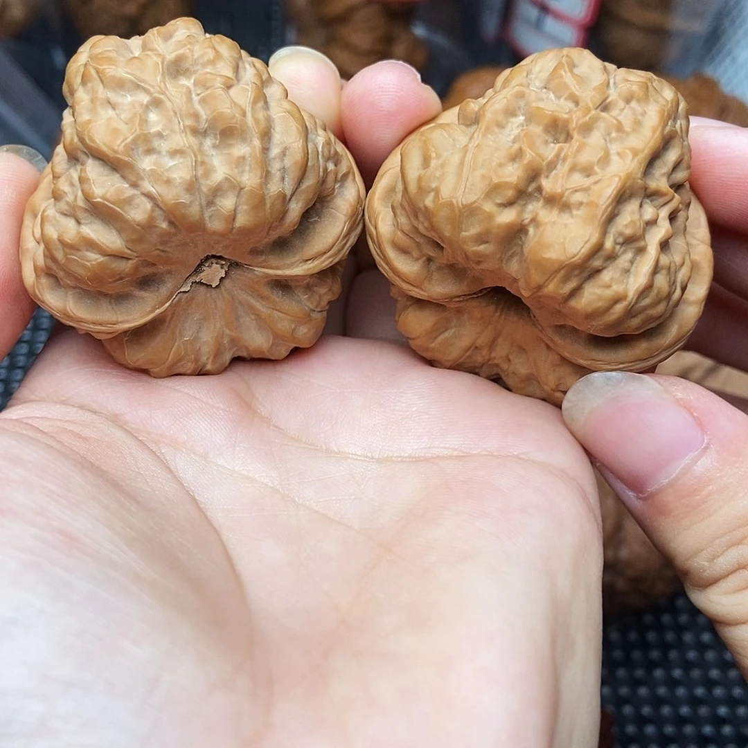 文玩核桃吊坠蛤蟆43